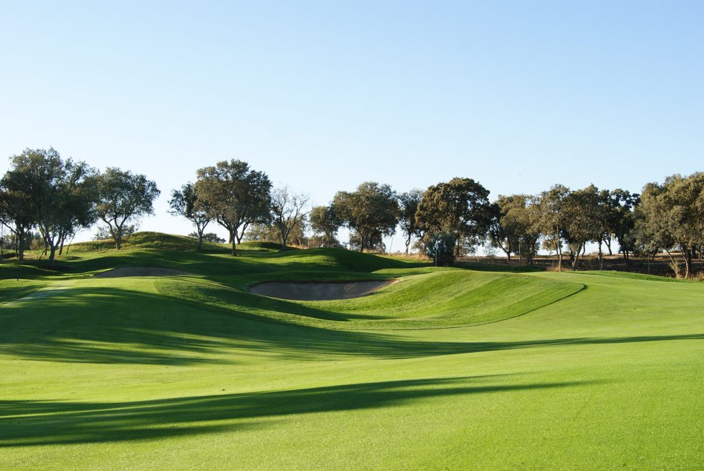 campo-de-golf-con-lolium-perenne-y-agrostis-stolonifera