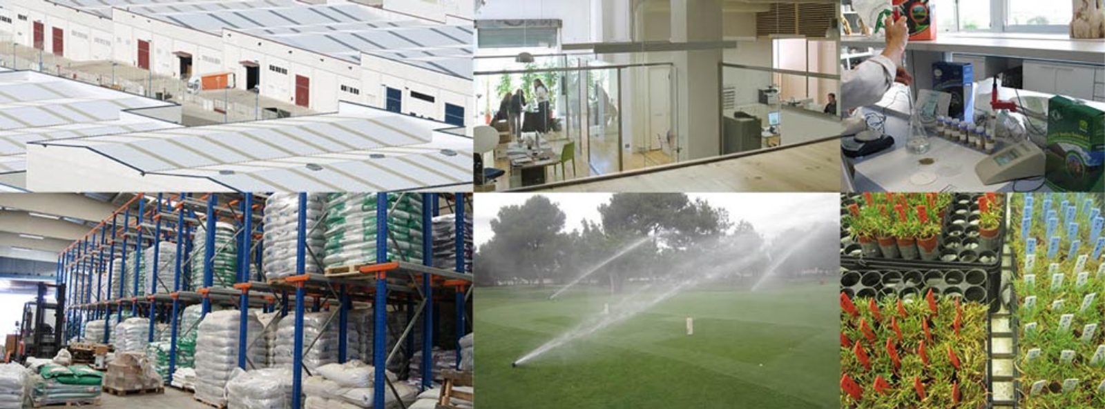 collage-facilities-seeds-dalmau