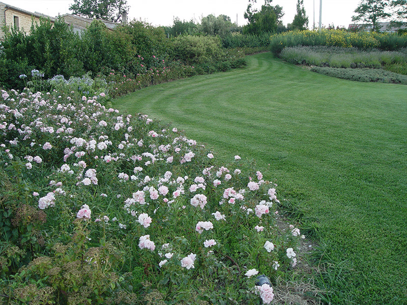 garden-in-tuscany-with-seeds-dalmau-1