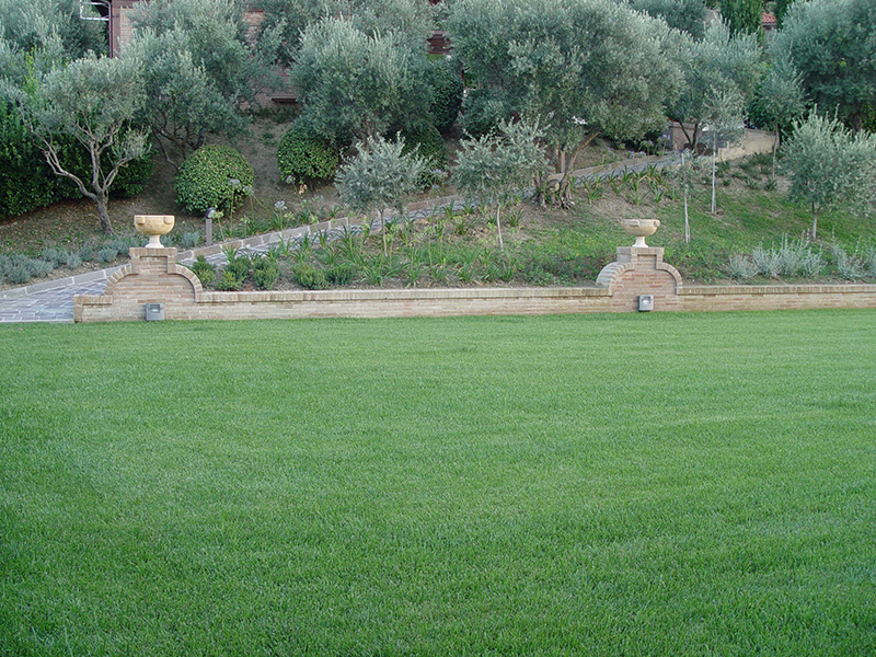 garden-in-tuscany-with-seeds-dalmau-3