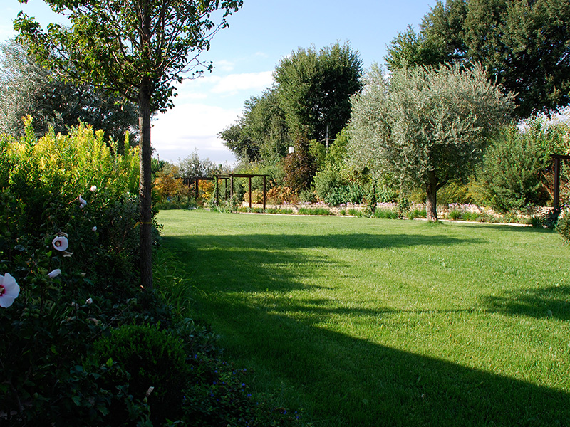 garden-in-tuscany-with-seeds-dalmau-5