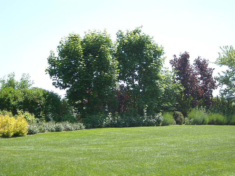 garden-in-tuscany-with-seeds-dalmau-7