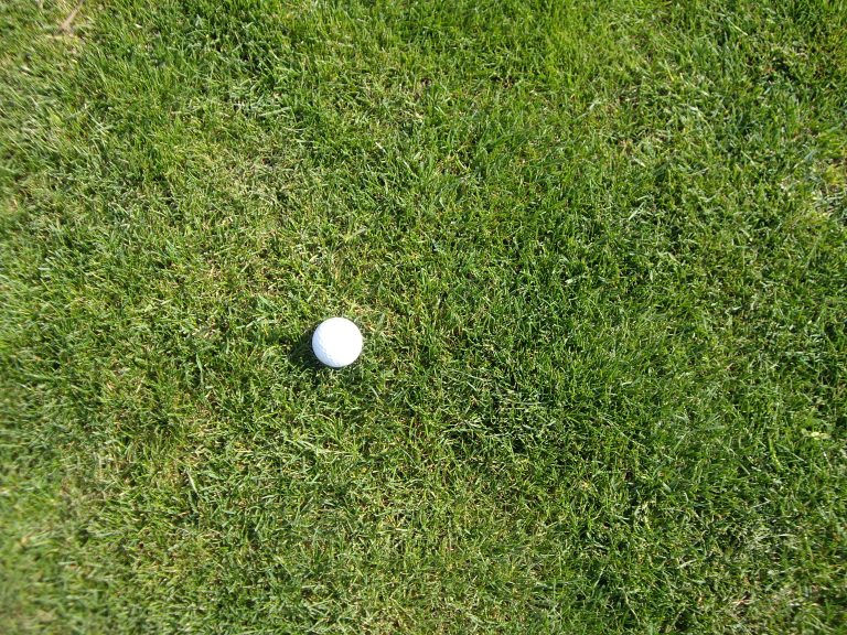 lolium-perenne-pizzazz-2-glr-en-golf