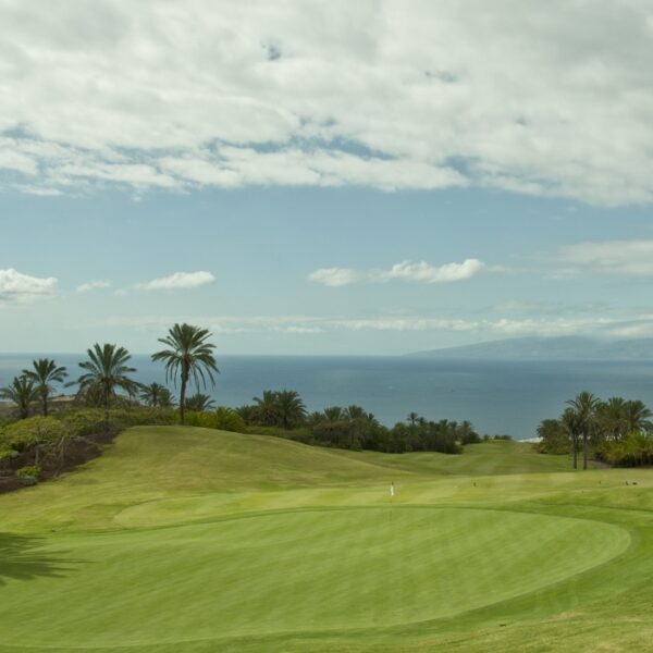 cynodon-dactylon-sahara-ii-en-campo-de-golf