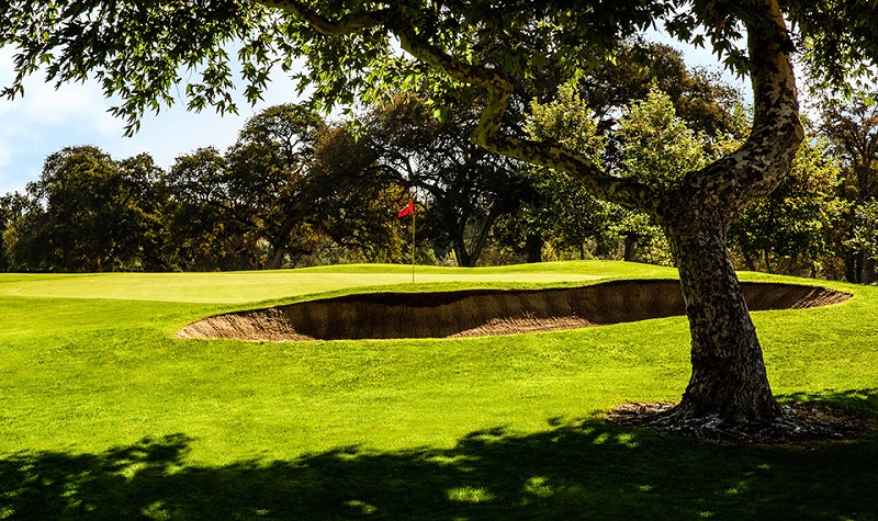 agrostis-stolonifera-pure-select-en-campo-de-golf