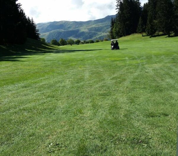 festuca-arundinacea-rhizing-moon-en-golf