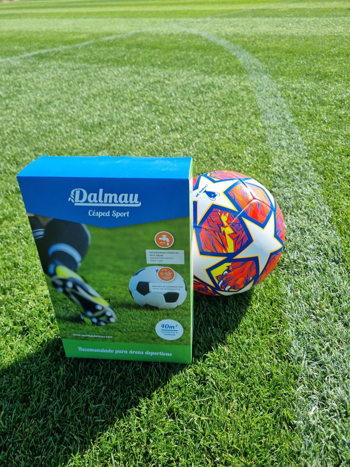 Mezcla comercial SPORT - Imagen 2