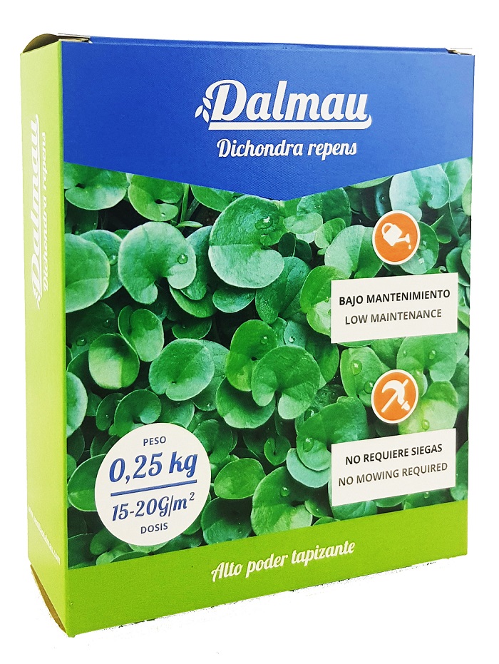 dichondra-caja-250-gramos