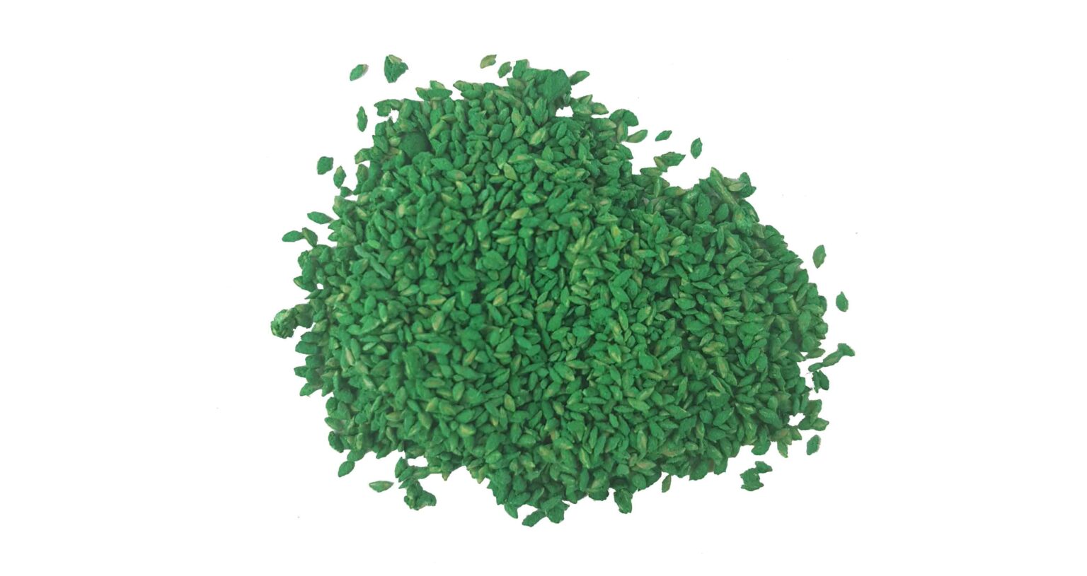 Semence De Gazon Cynodon Dactylon (Chiendent) - 500 G Pour 50 M² - Résistante à La Chaleur Et à La Sécheresse