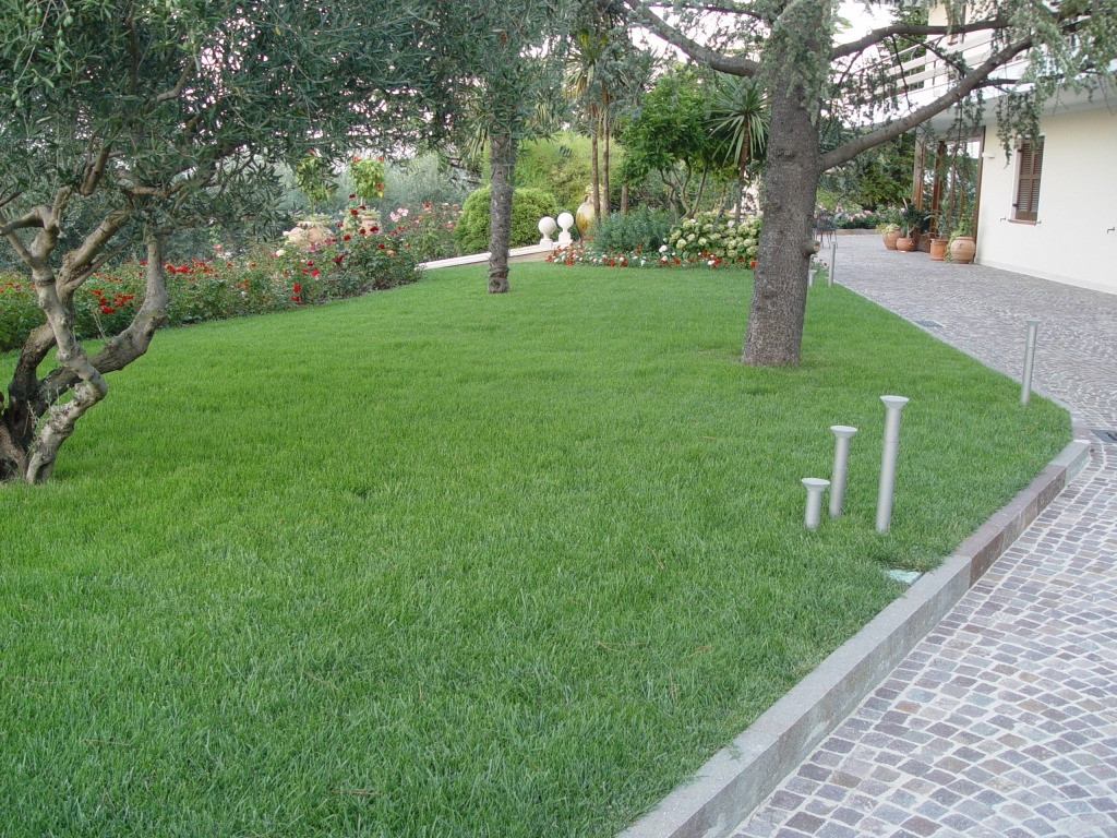 jardin de cesped con Semillas Dalmau