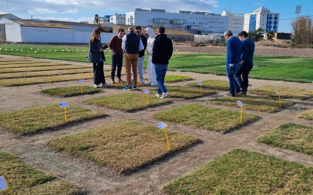 Una expedición de la Universidad de Pisa visita las instalaciones de Semillas Dalmau en Valencia