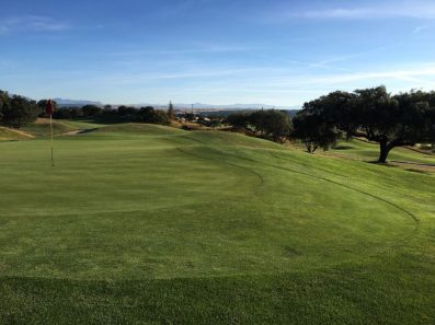 golf-course-with-lolium-perenne-and-agrostis-stolonifera-3