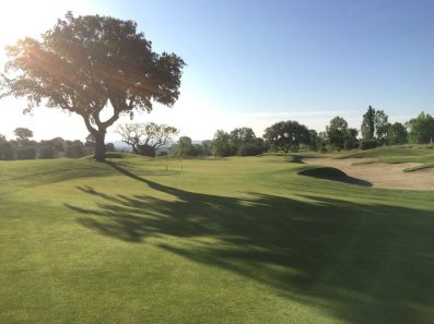 golf-course-with-lolium-perenne-and-agrostis-stolonifera-4