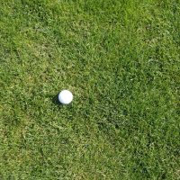 lolium-perenne-pizzazz-2-glr-en-golf