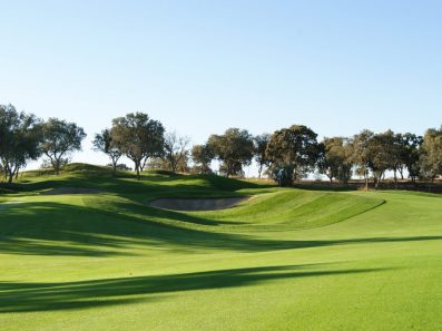 golf-course-with-lolium-perenne-and-agrostis-stolonifera