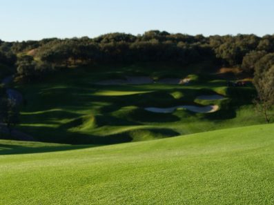 golf-course-with-lolium-perenne-and-agrostis-stolonifera-2