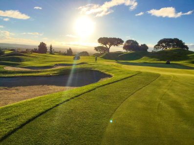 golf-course-with-lolium-perenne-and-agrostis-stolonifera-5
